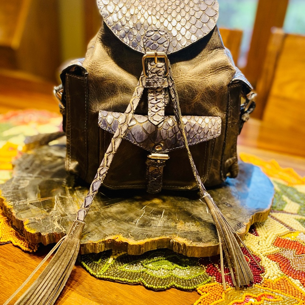 Freebird Brett backpack